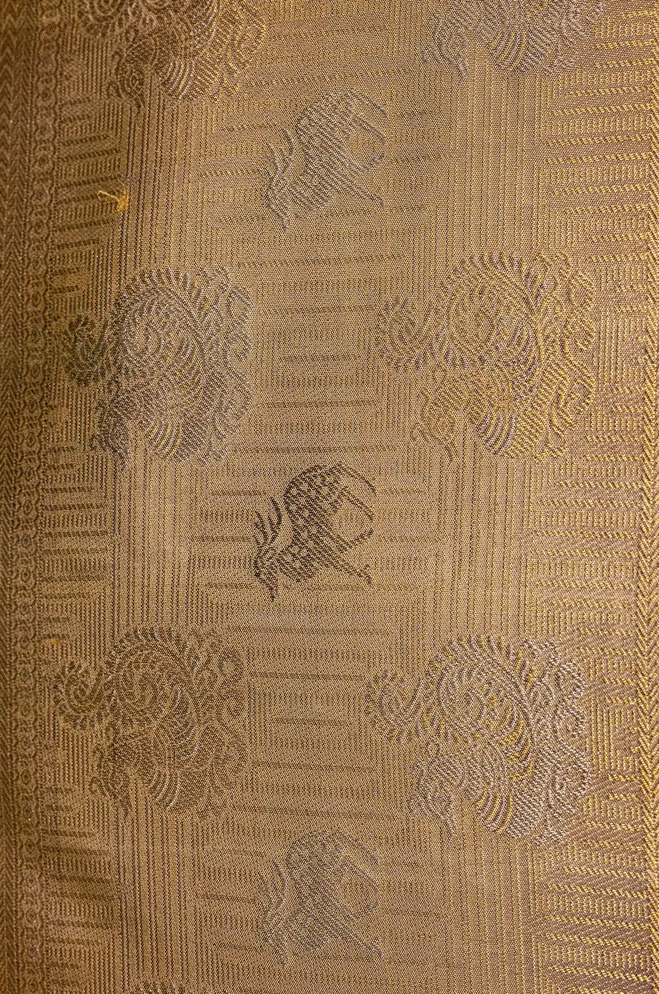 Pale Gold Kanchipuram Silk