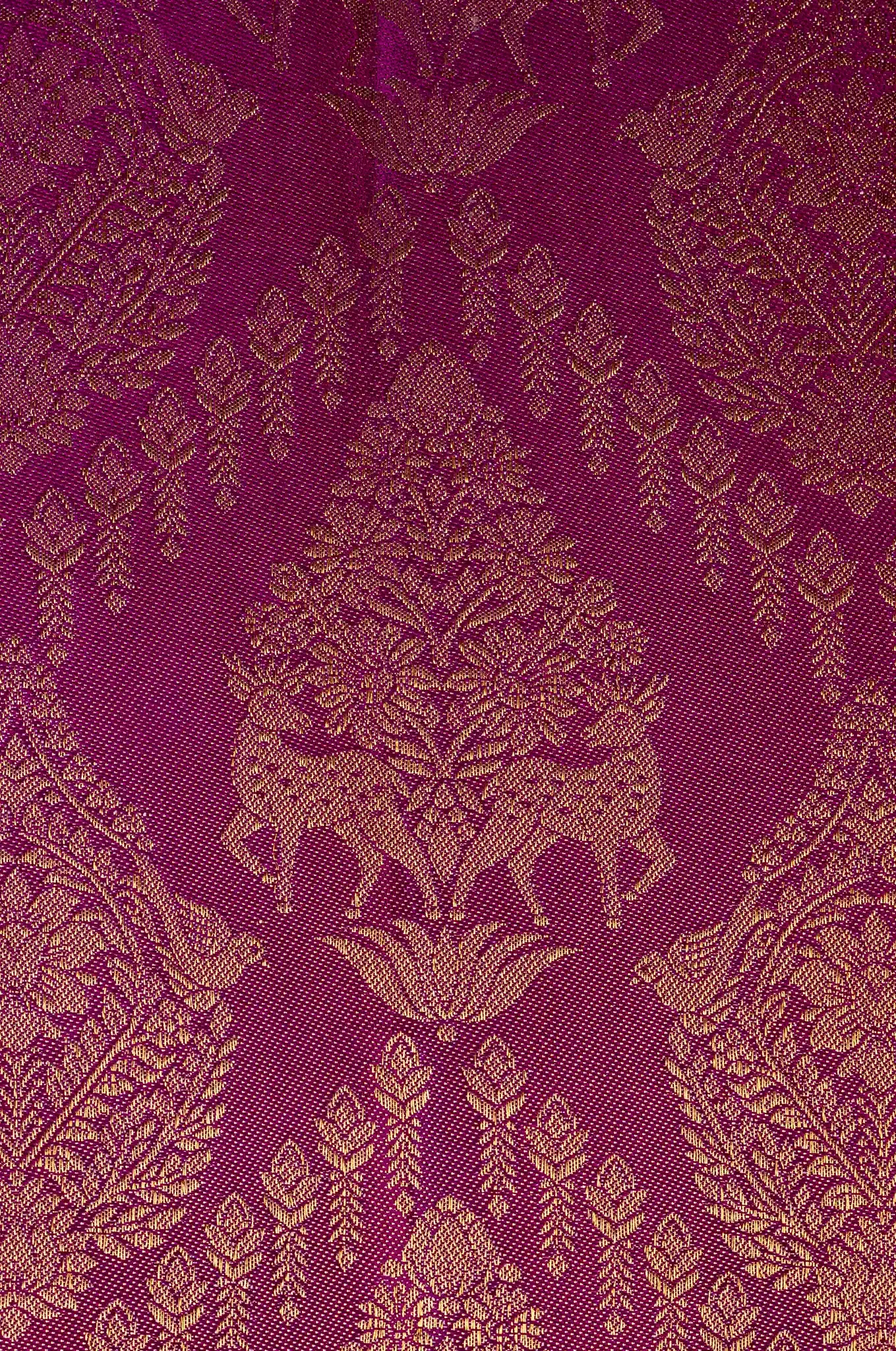 Vibrant Magenta With Beige Colour Border Kanchipuram Silk